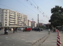 国庆最后一天去看车