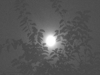 京局唐段------我这一辈子