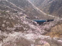 【2015补发】这一年，记忆的碎片。