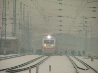 时隔一年,又是大雪