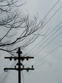 铁路 · 新加坡
