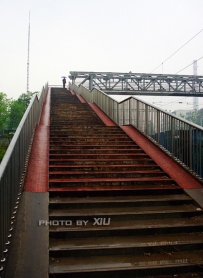 雨中翠林