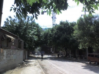 烈日下的四经路道口-满城尽带蓝西瓜