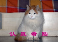 狼垡桥上看京山！