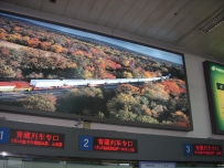 我坐上了北京到拉萨的首班车!
