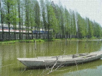 野渡无人舟自横