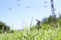 8月6日 凤凰岭---寨口