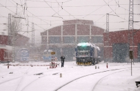 冰雪中的和谐3B