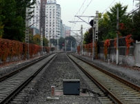 红叶路！