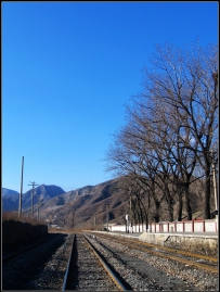 山区第一仗  京西游走