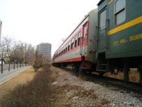 【迟到贴】3月3日101线过车！