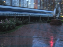 雨中情
