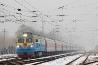 雪后小拍几张