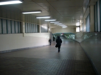 [沈局] 沈北小拍~