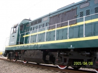 红5