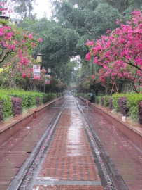 雨拍厦门