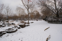 :::::雪中的莲花池，北京西站:::::::（NEW）::::