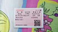 光棍节的车票