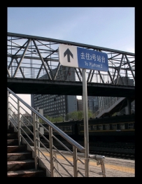 [晚点] 10年5月2日傍晚，官高行[12图]