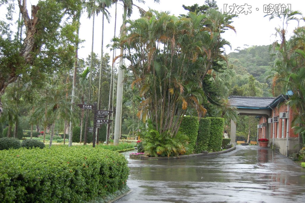 台北士林官邸昆虫园5.jpg