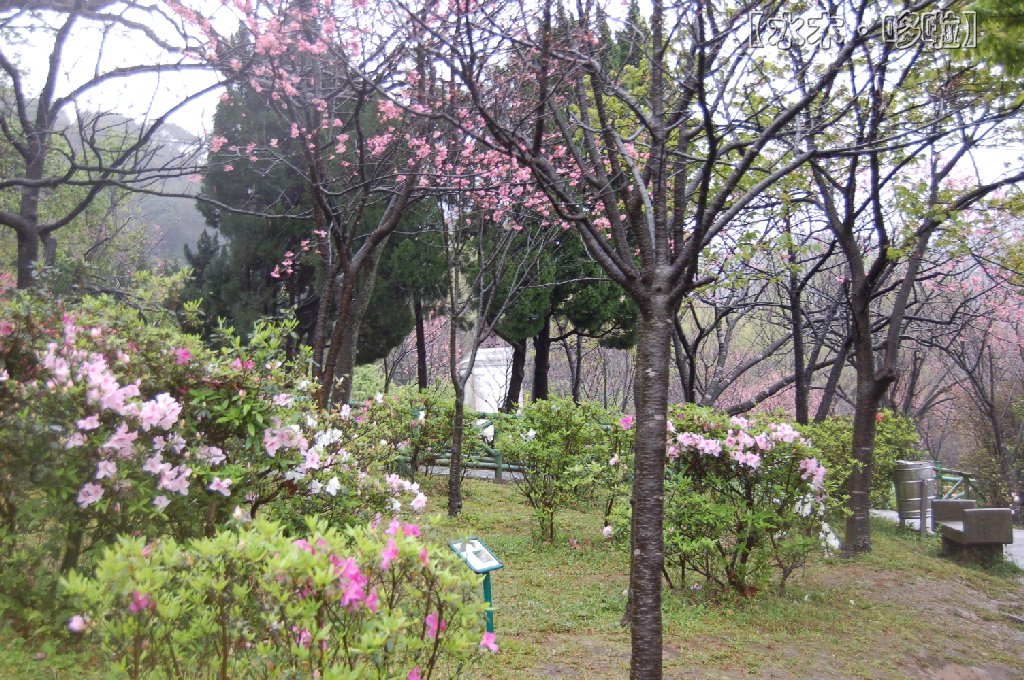 台北阳明山8.jpg