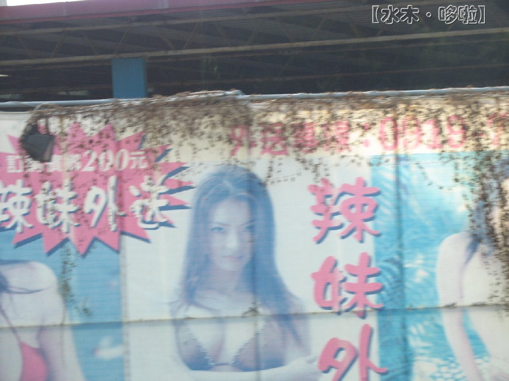 台中公路旁槟榔妹.jpg